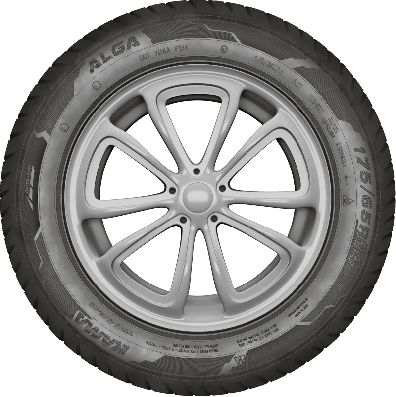 KAMA ALGA (НК-531) нешип в Ялуторовске — KAMA TYRES KAMA ALGA (НК-531) нешип в Ялуторовске